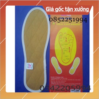 Miếng lót giầy hương quế thấm hút khử mùi nâng đỡ bảo vệ chân chính hãng anh quân