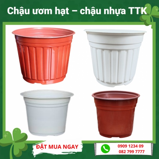 Combo 10 Chậu nhựa ươm hạt TTK (23cmx16cm) - Green City
