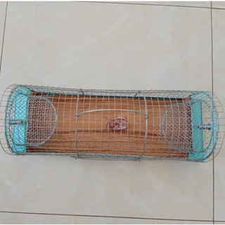 Bẫy chuột thông minh 2 cửa - thế hệ mới