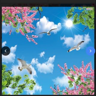 Tranh dán trang trí trần nhà 3D keo sẵn