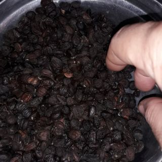 Hạt rổi nếp.