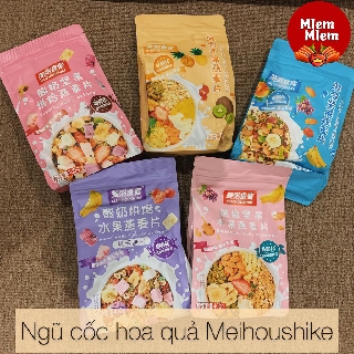 SẴN - Ngũ cốc hoa quả 5 vị
