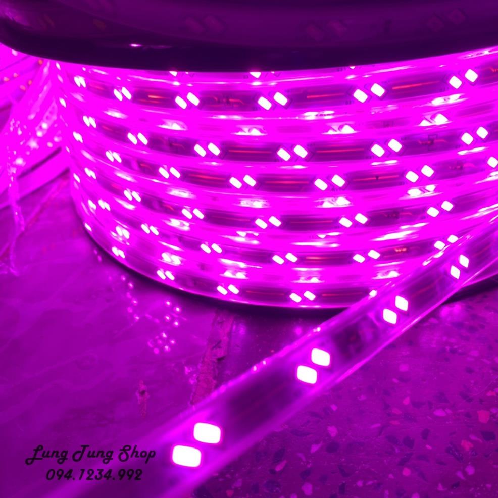 Đèn led dây màu hồng tím loại đôi 2 bóng siêu sáng chống nước