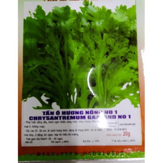 Hạt tần ô cải cúc - gói 20 gram - rau tần ô - cải cúc dễ trồng dễ nảy mầm