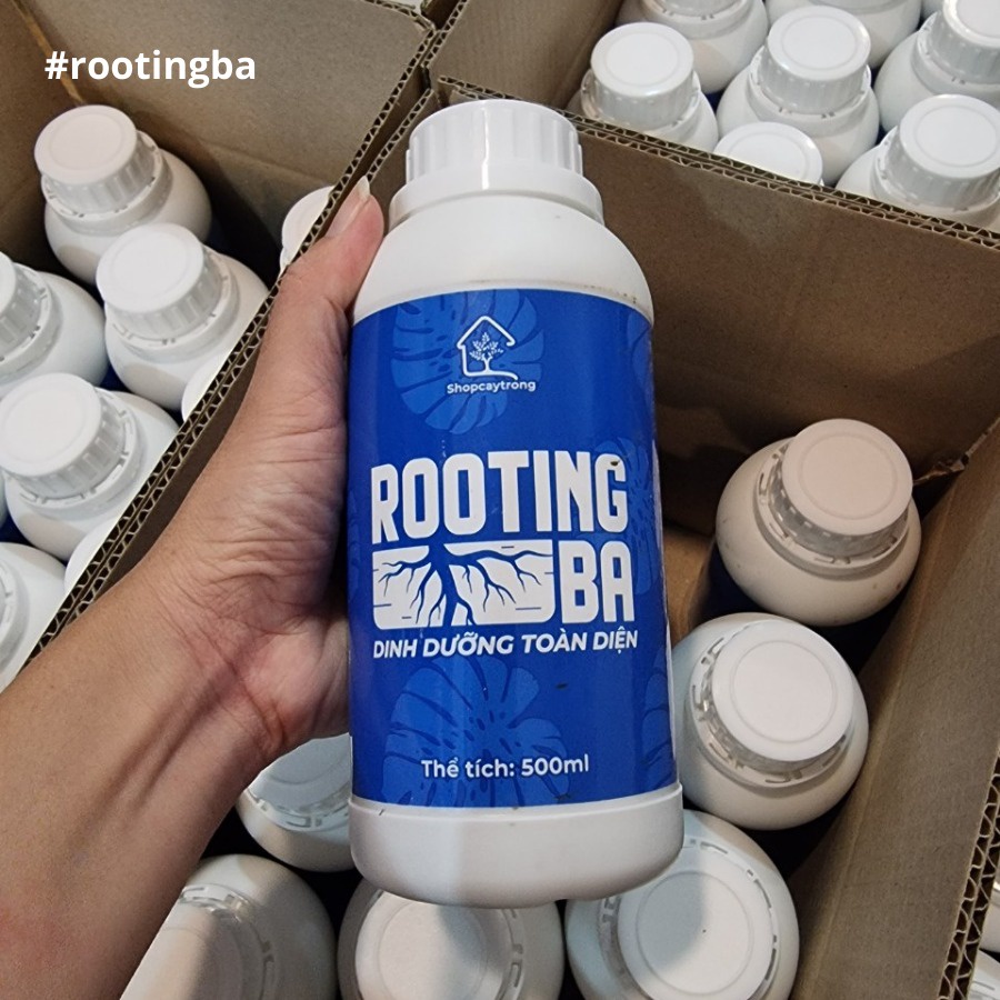 Nước Tưới Dinh dưỡng – Kích rễ Rooting BA (chai 500ml) siêu ra rễ dành cho Sen Đá, Kiểng Lá, Kie Phong Lan