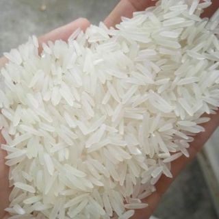 Gạo ST24 túi 5kg