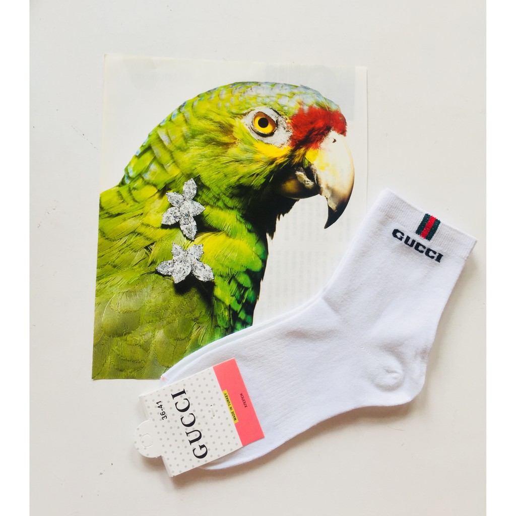 Vớ tất cổ cao Hot trend chất liệu Cotton (VM 19)