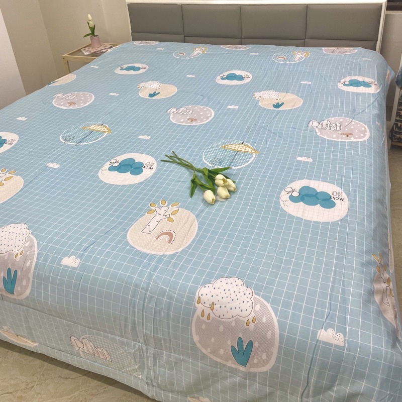 Chăn Cotton Đũi Hàn Quốc Nhập Khẩu, chăn hè thu