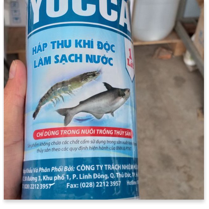 (Thuốc Thủy Sản) YUCCA- hấp thu khí độc làm sạch nước ao nuôi trồng thủy sản