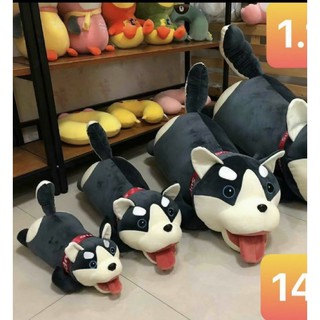 Chó Rangdoll Bông,Chó Husky Ôm Dài