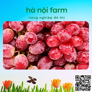 phân bón kali đỏ 500g ( kali clorua)