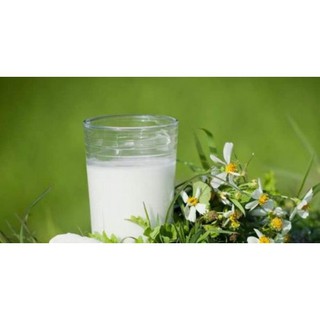 BỘT SẮN DÂY NGUYÊN CHẤT 500g
