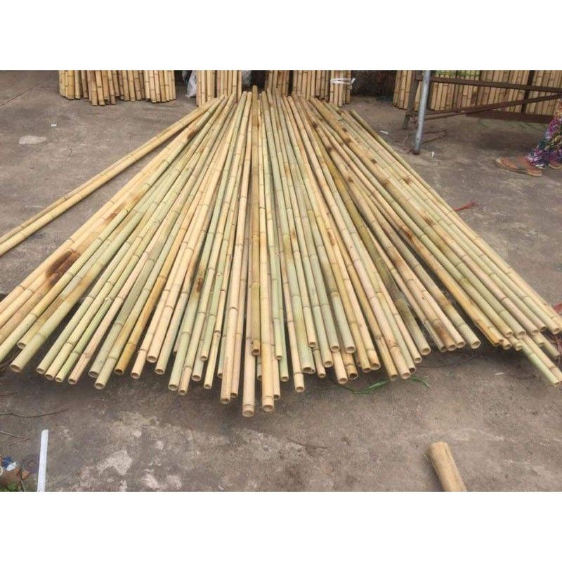 Cây tre trúc dài 1,2m thẳng đẹp, cọc cắm trại
