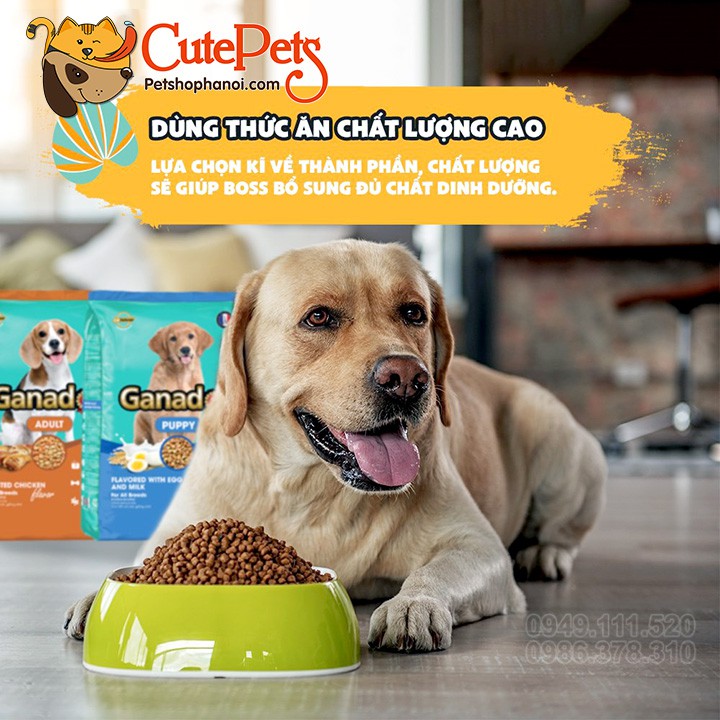 Thức ăn cho chó Ganador 3Kg Hạt cho chó giá rẻ - CutePets