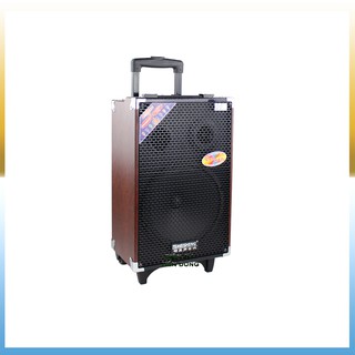 Loa kéo Temeisheng Q10S
