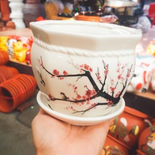 Chậu trồng cây liền đĩa gốm sứ bát tràng 3 size