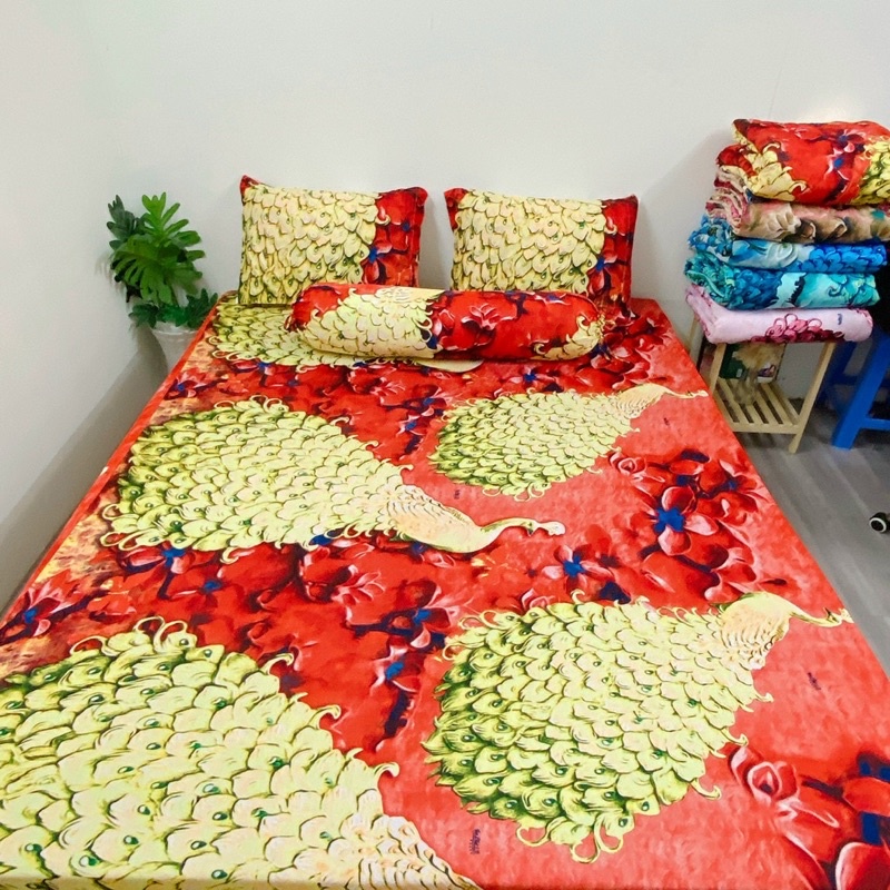 Bộ ga và vỏ gối thun Hàn mẫu con công