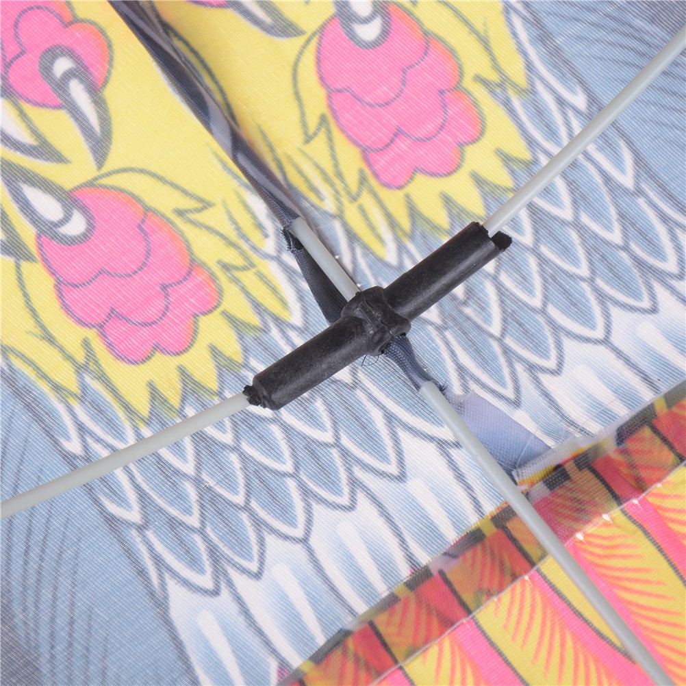 Chú Chim Đại Bàng Cỡ Lớn Độc Đáo