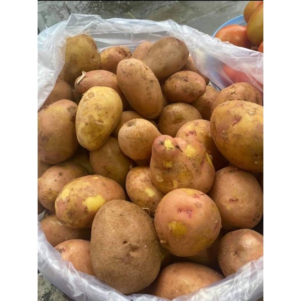 Khoai tây (500gr)