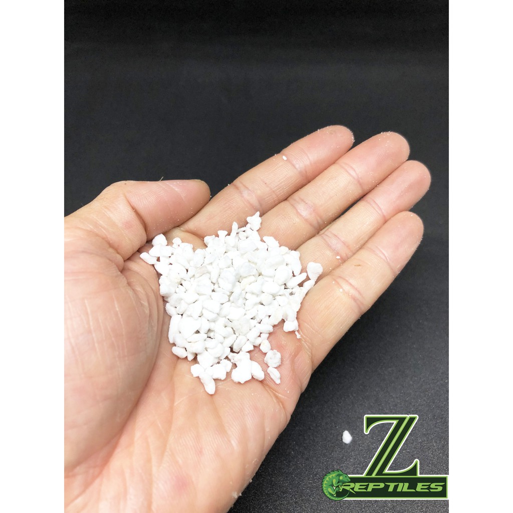 Đất ấp trứng bò sát