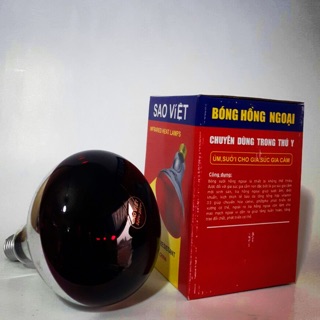 Bóng sưởi hồng ngoại cho chó mèo