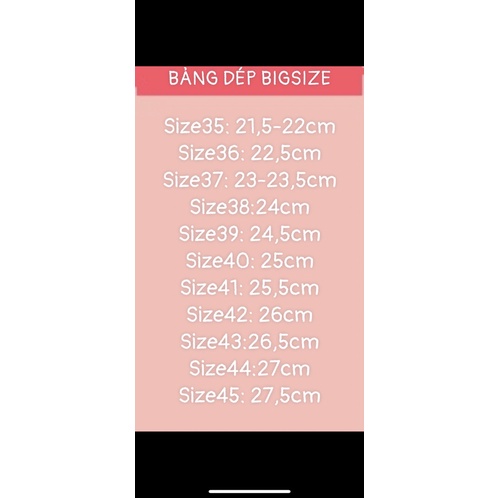 Sandanl bigsize 35-45