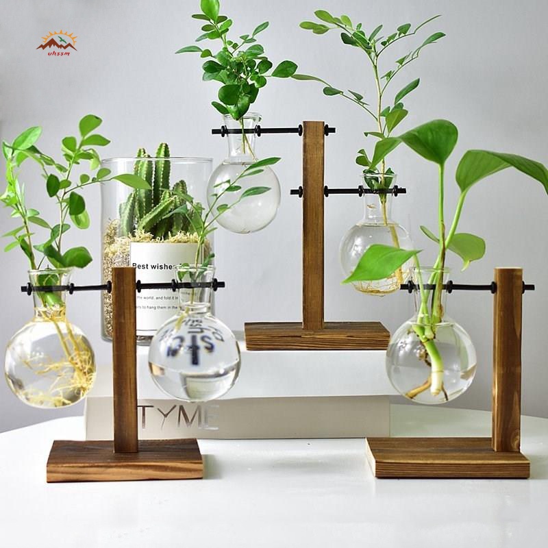 Bình trồng cây thủy sinh bằng thủy tinh có giá đỡ bằng gỗ để bàn trang trí cho văn phòng