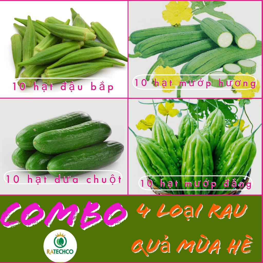 CoMBO 4 loại hạt giống rau quả mùa hè: đậu bắp, mướp hương, dưa chuột, mướp đắng