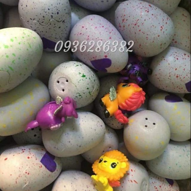 Combo 10 trứng Hatchimals Mykingdom xoa nở thú