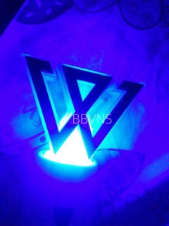 Lightstick WINNER