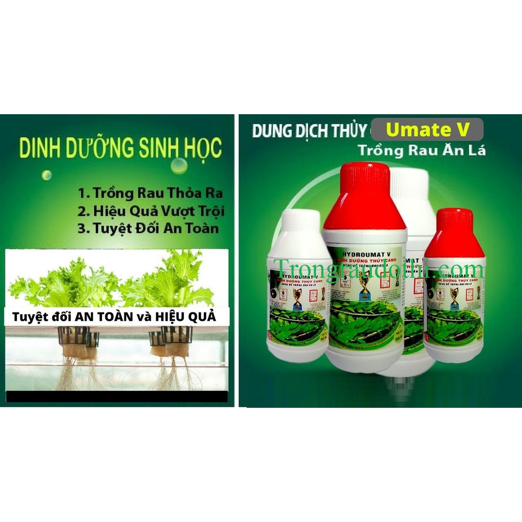 Dinh Dưỡng Thủy Canh HydroUmat V Dành Cho Rau Ăn Lá