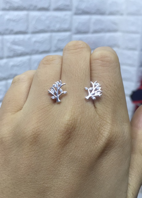 Khuyên tai mẫu cây gia đình bạc ta nhịp tim