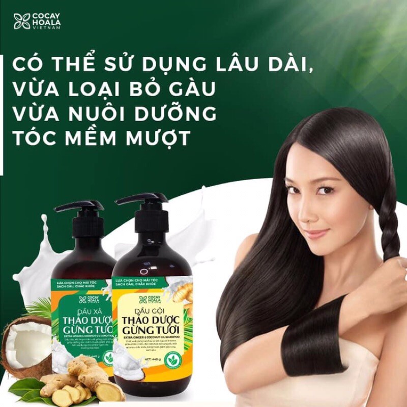 Combo gội + xả cặp dầu gội Thảo dược Gừng Dừa Hữu cơ cocayhoala 440ml