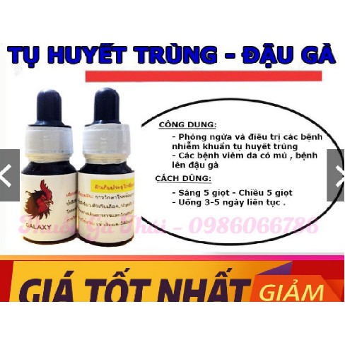 Dau ga tu huyet trung thái cho gà chọi gà đá