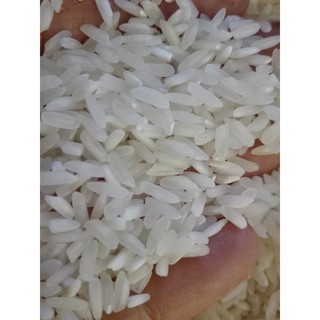 Túi 5kg gạo 504