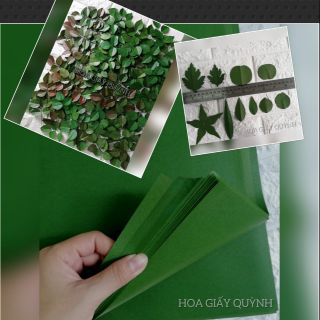 XẤP 40 TỜ GIẤY MỸ THUẬT XANH LÀM LÁ