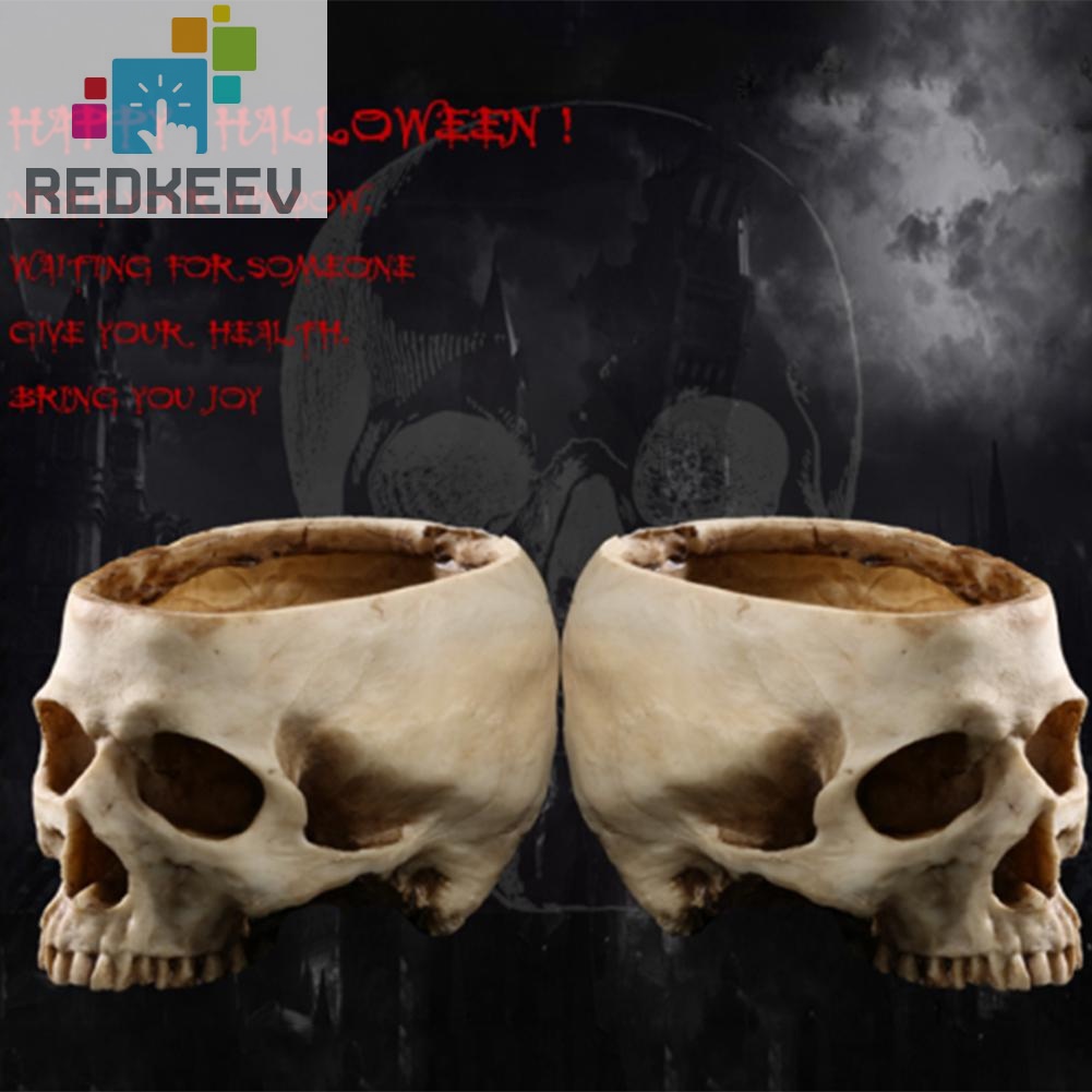 Chậu trồng cây bằng resin hình đầu lâu độc đáo