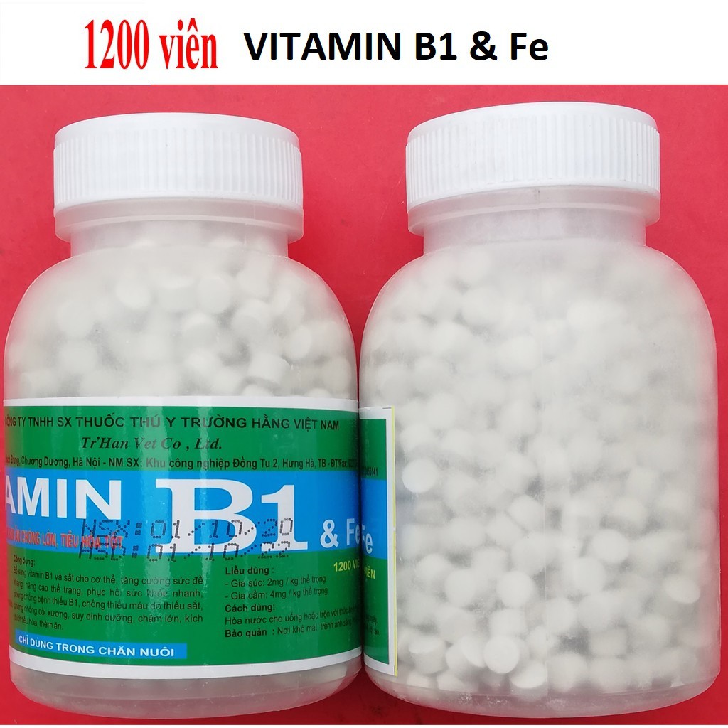Vitamin B1 cho vật nuôi,ham ăn, kích thích tiêu hóa (thuốc thú y) chó mèo ham ăn, chóng lớn, phòng ngừa t-iêu chảy