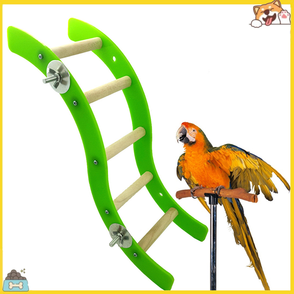 Cầu thang gợn sóng bằng nhựa acrylic gắn lồng vẹt đầy tiện lợi