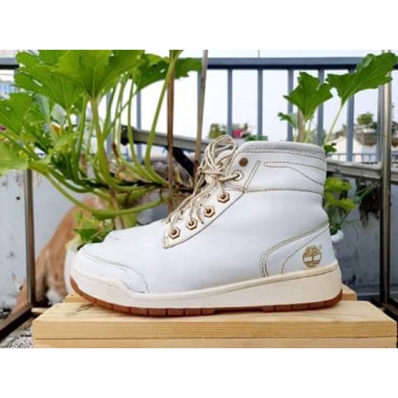 Giày si Timberland