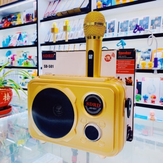 Loa Karaoke Bluetooth SD-501 Kèm Micro Không Dây