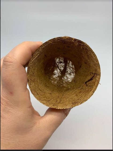 Combo 500 chậu xơ dừa tròn trung AN1002 - Coir pots