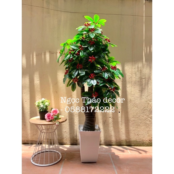 Cây kim ngân lượng giả 1m5 _ cây giả trang trí