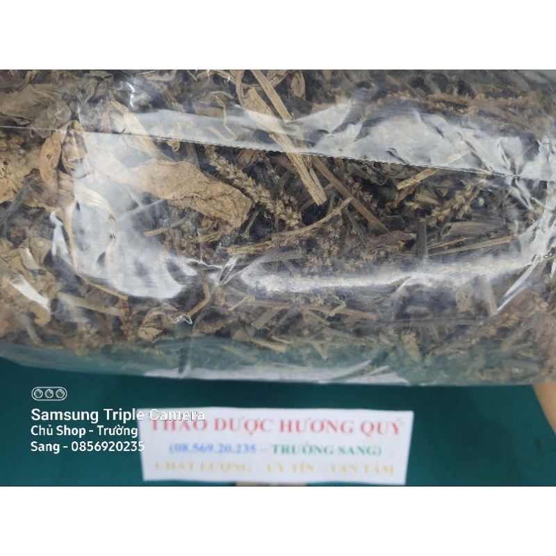 1Kg Cây Mã Đề Khô, Sạch, Mới, Loại 1