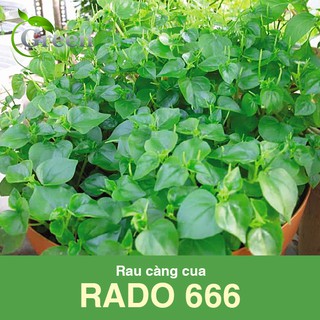 Hạt Giống Rau Càng Cua