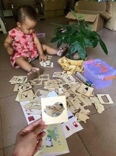 Bộ khuôn vẽ gỗ