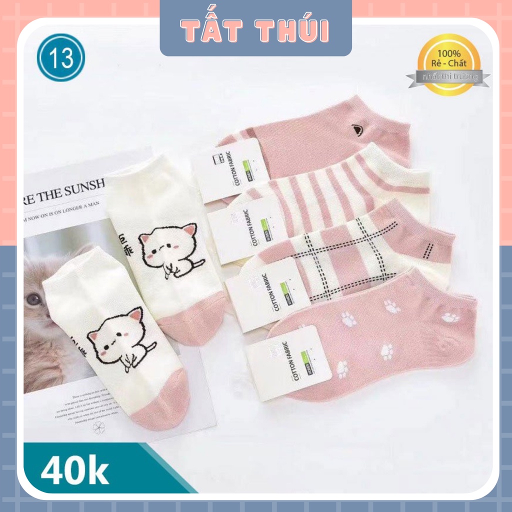 Set 5 Đôi Tất Mèo Hồng Cực Đáng Yêu thoáng khí Mùa Hè