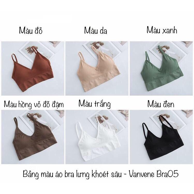 [Mã FAMARAL1 giảm 10K đơn 50K] Áo lót bra cotton tăm hở lưng - khoét lưng free size 40-55 kg (video & ảnh thật) A906 | BigBuy360 - bigbuy360.vn