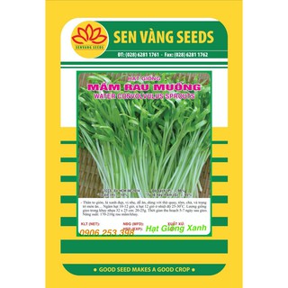 Hạt giống Mầm Rau muống 50gr năng suất cao dễ trồng