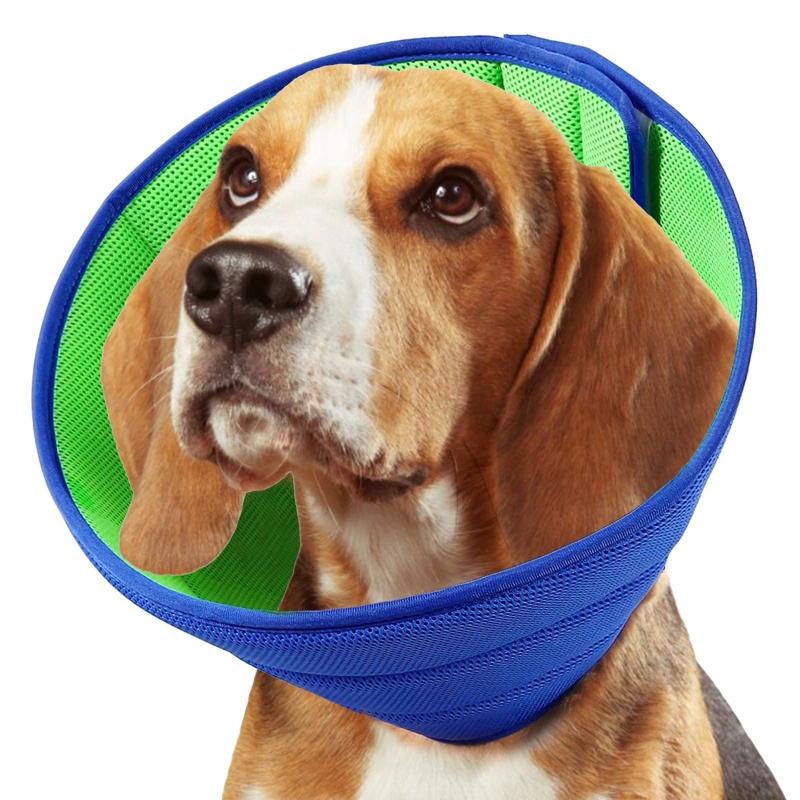 Cổ Áo Hình Nón Phục Hồi Da Chống Thấm Nước Siêu Thoải Mái Elizabethan